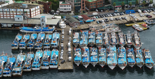 제12호 태풍 오마이스(OMAIS)가 한반도를 향해 북상하는 가운데 23일 오전 제주 서귀포항에 어선들이 대피해 있다.   연합뉴스